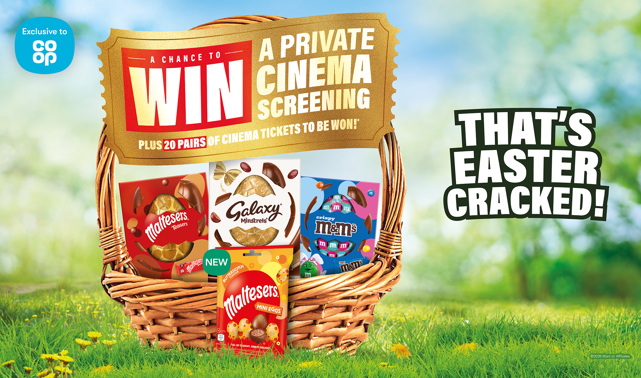 banner with campaign logo